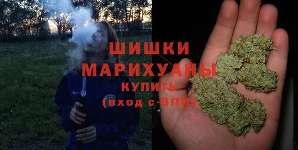 мдпв Вязьма