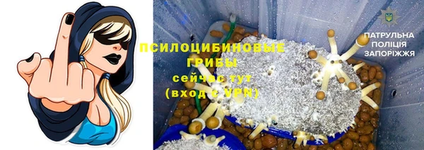 кокс Вяземский