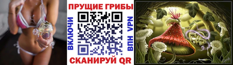 как найти наркотики мориарти Telegram кракен онион Псилоцибиновые грибы Cubensis Павловский Посад